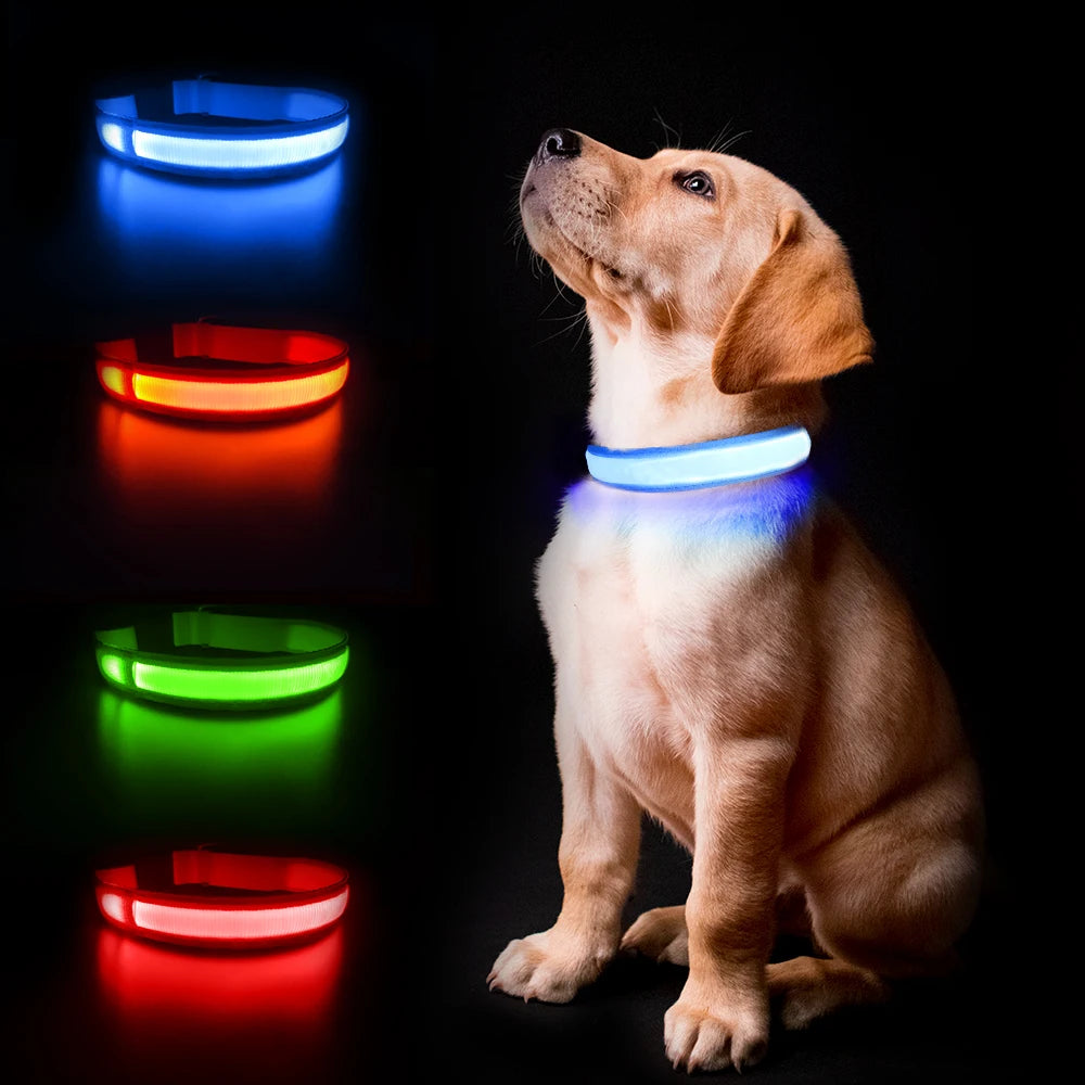 Dog Collar illuminating Dog Collar, Waterproof, Safety Collars