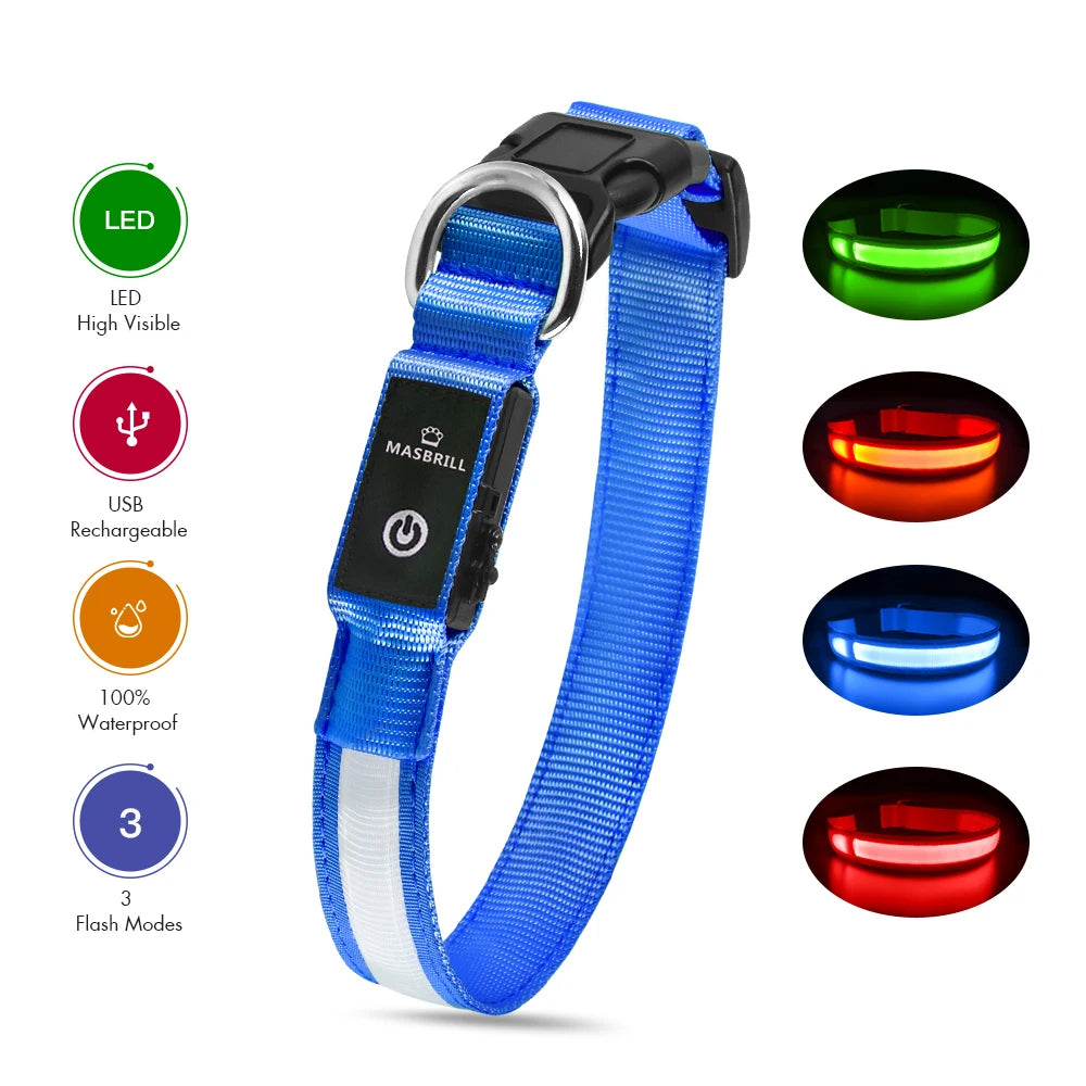 Dog Collar illuminating Dog Collar, Waterproof, Safety Collars