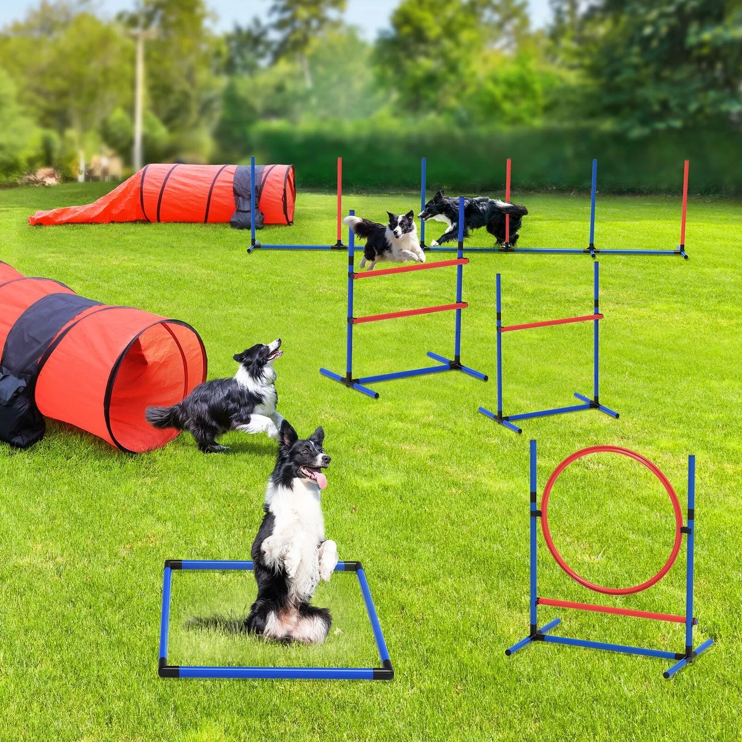 US Dog Agility Training Equipment Kit