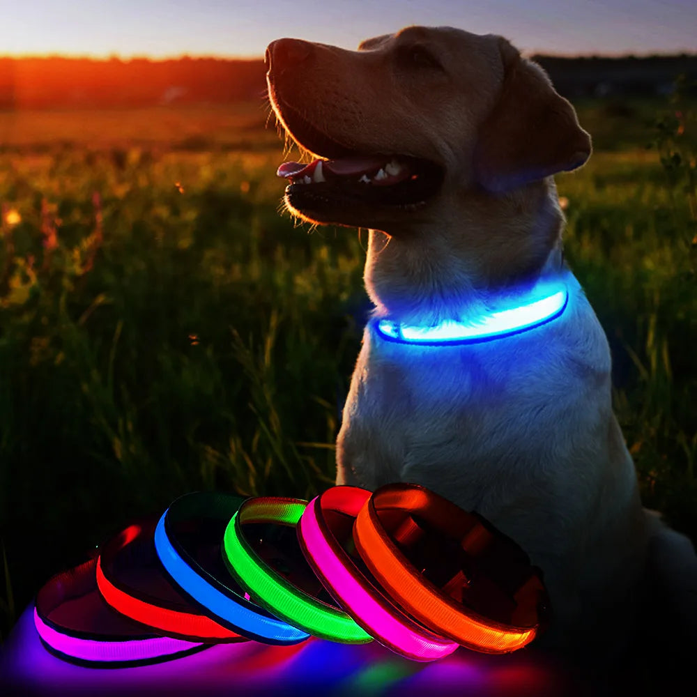 Dog Collar illuminating Dog Collar, Waterproof, Safety Collars