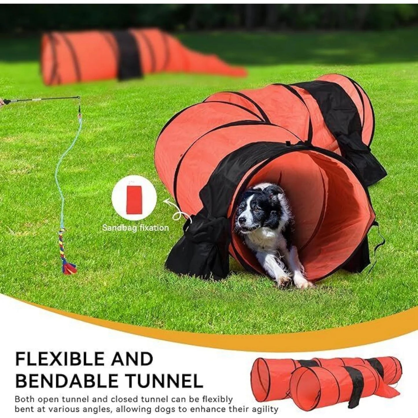 US Dog Agility Training Equipment Kit